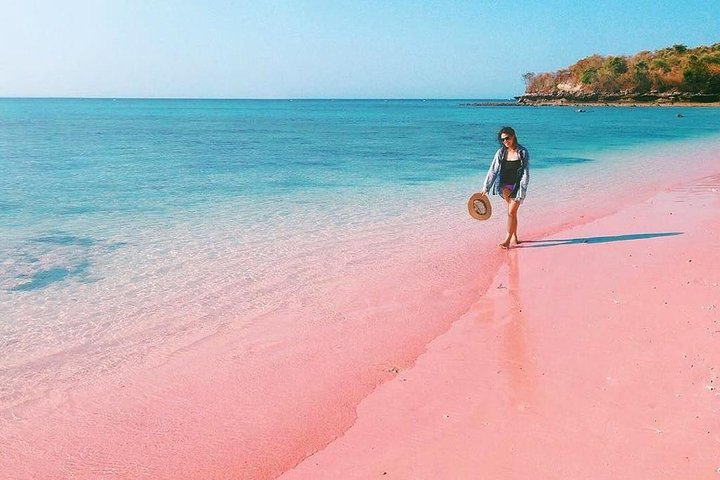 Lombok Pink Beach Island Hopping & Snorkeling with Japanese Speaking Guide - Photo 1 of 8