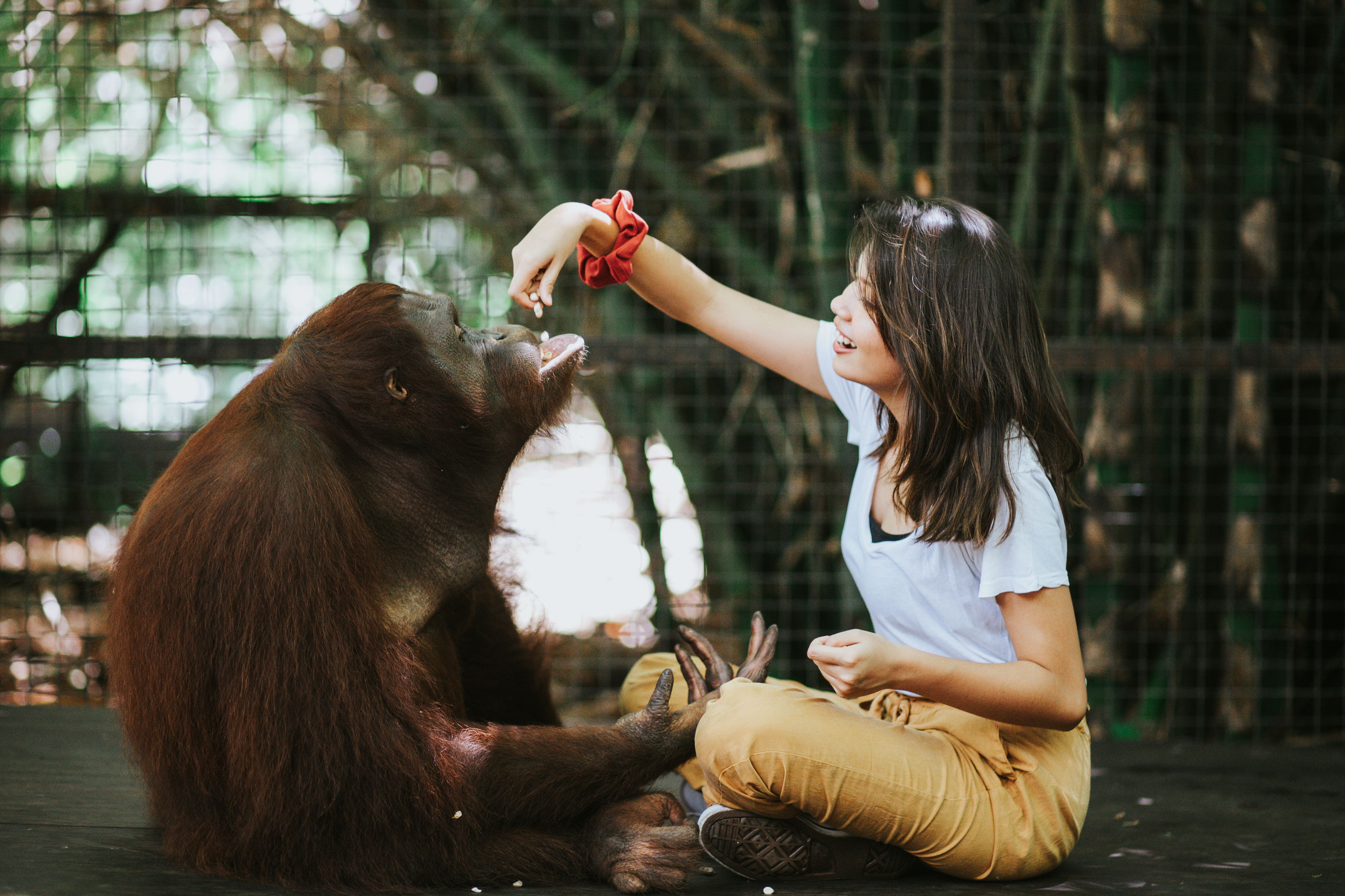 Lombok Wildlife Park Tickets - Photo 1 of 9