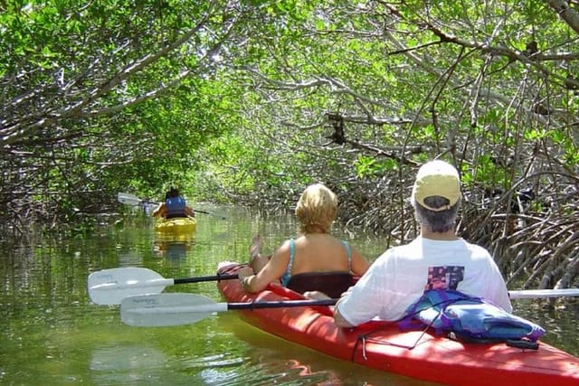 Mangrove Forest Bali Canoe Eco Tour - Photo 1 of 7