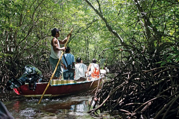 Mangrove Tour at Lembongan Island - Without Hotel Transfer - Photo 1 of 5