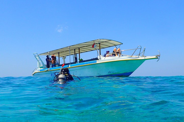 Menjangan island for Certified Scuba Divers full day boat trip, 2 dives + lunch - Photo 1 of 6