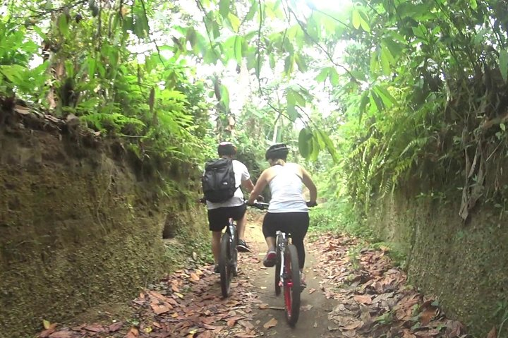 Mountain Biking and Waterfall Tour from Lombok - Photo 1 of 6