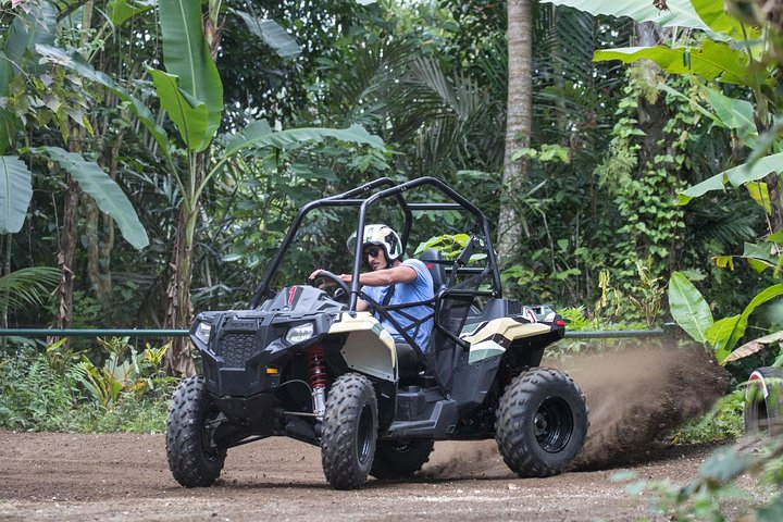 Mason Jungle Buggies