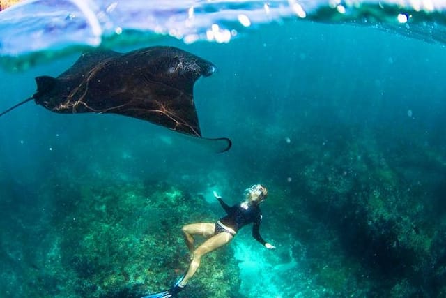 Manta Ray Snorkeling point 