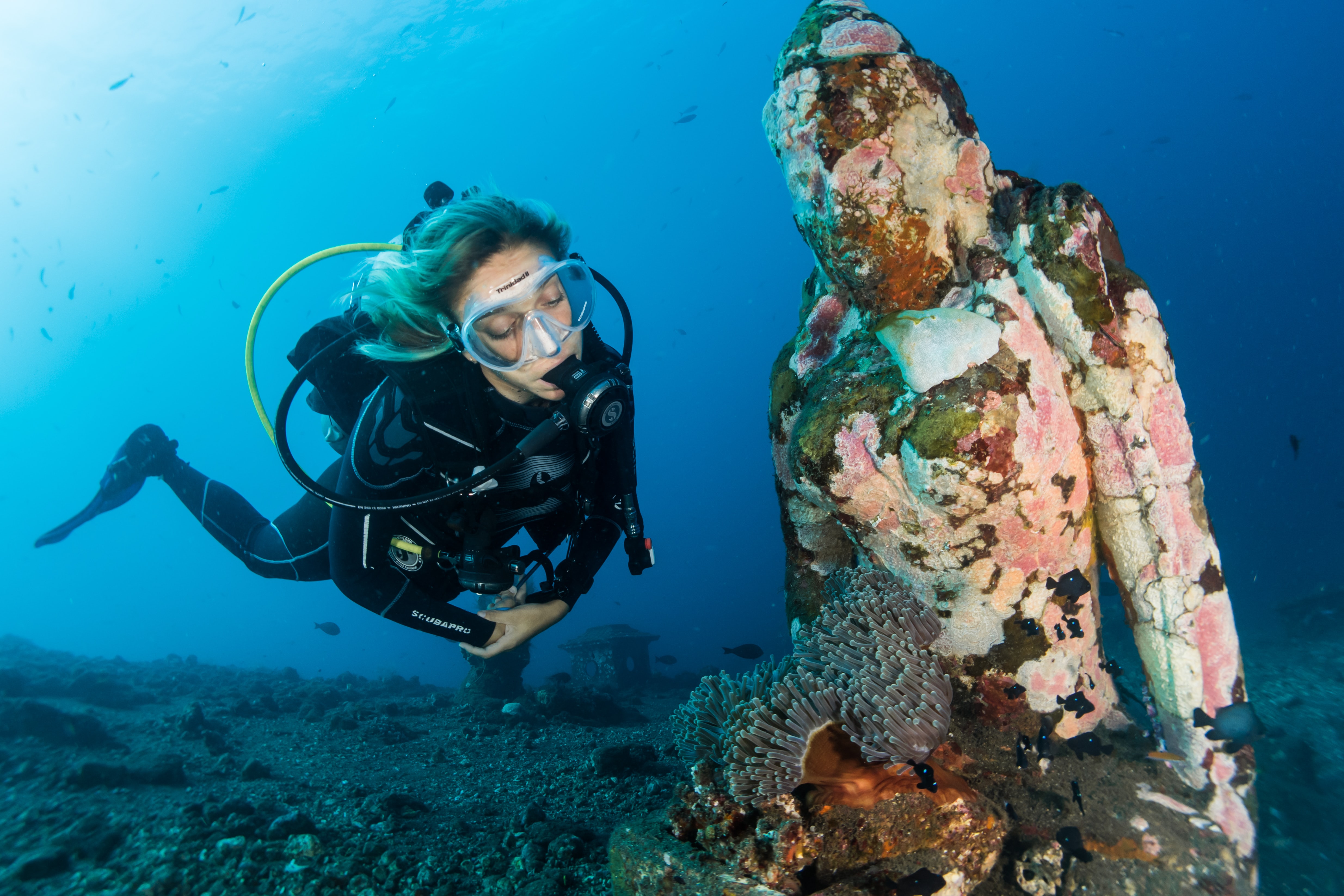 Blue Lagoon Padang Bai Scuba Diving Experience - Photo 1 of 14