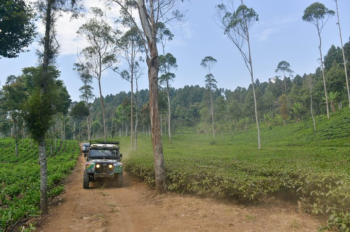 OFFROAD 4 X 4 LandRover Series - Photo 1 of 6