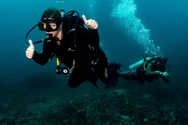 Open Water + Advanced Course - Premium Certifications Package in Pemuteran, Bali - Photo 1 of 25