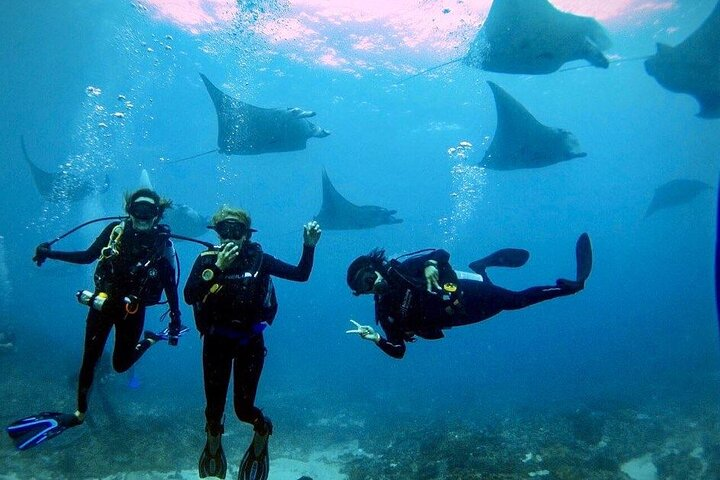 PADI Open water Course in Lembongan - Get certified & dive anywhere in the world - Photo 1 of 3