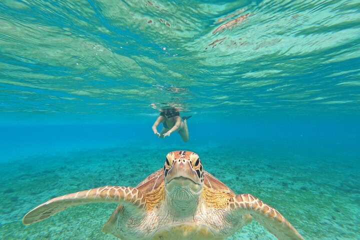 Public Snorkeling 3 Islands - Photo 1 of 6