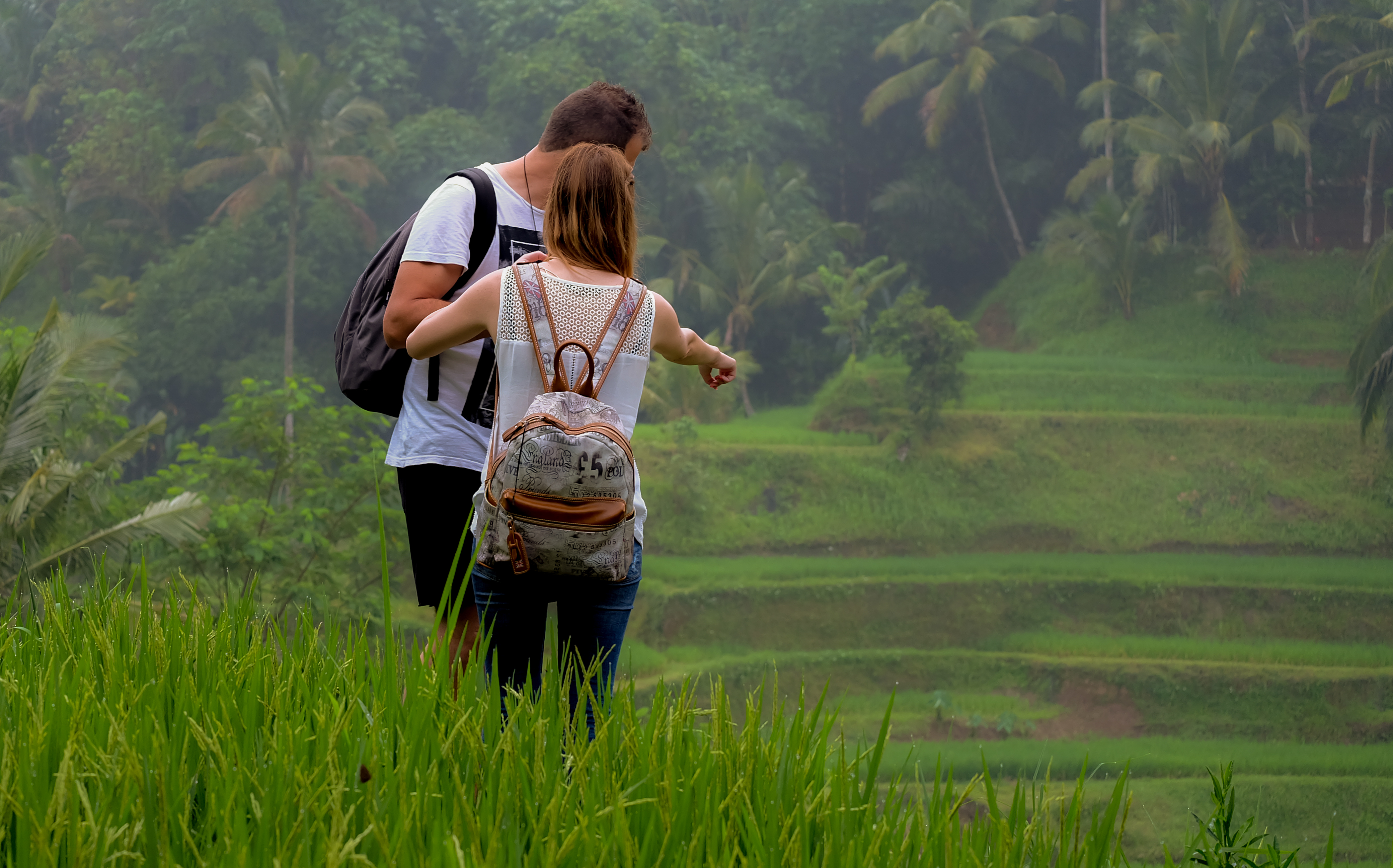 Ubud Rice Terraces, Temples and Volcano Tour in Bali - Photo 1 of 10