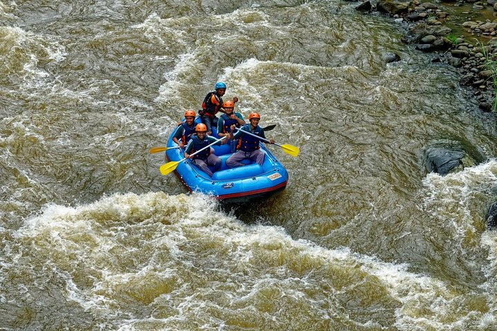 River Rafting Down the Ayung and Sacred Monkey Forest - Photo 1 of 7