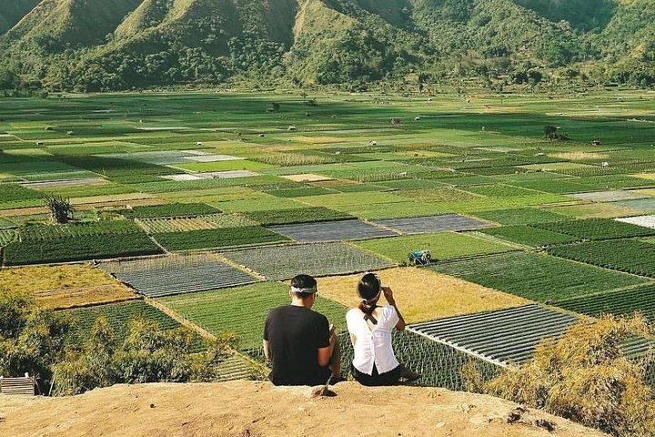 Sembalun Package.. (Special Rice Terrace View)  - Photo 1 of 7