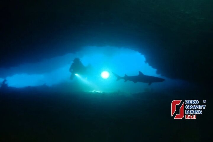 Shark Cave diving at Tangked Taked and Biaha Shark Caves - Photo 1 of 2