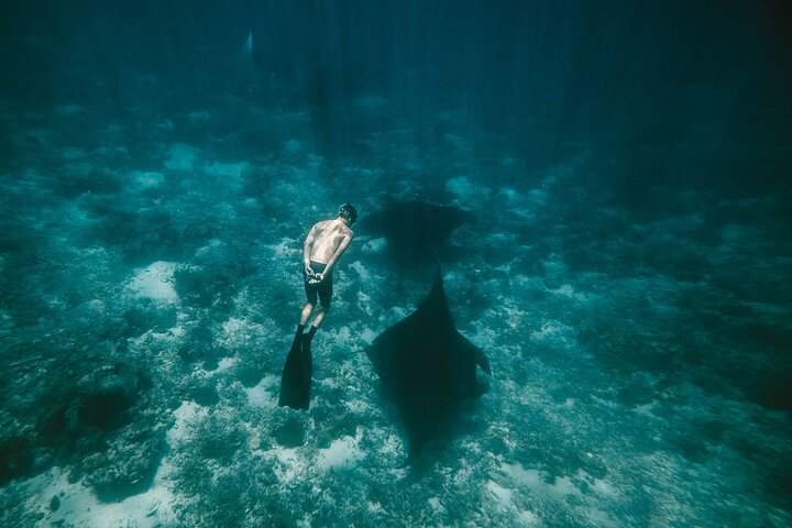 Snorkeling and Freediving Trip around Nusa Penida - Photo 1 of 15