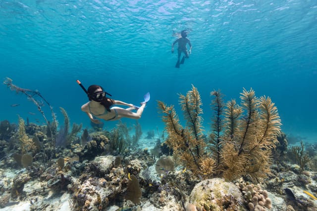 Snorkelling Tour at Blue Lagoon Padang Bai Bali - Photo 1 of 10