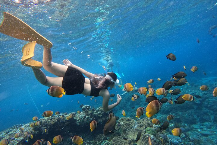 Snorkeling Day Trip To Lembongan and Penida - Photo 1 of 9