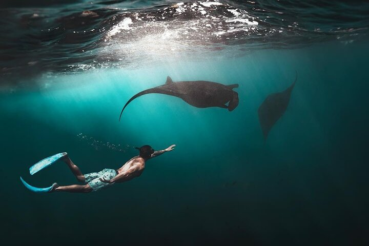 Snorkeling Manta Ray in Nusa Lembongan - Photo 1 of 10