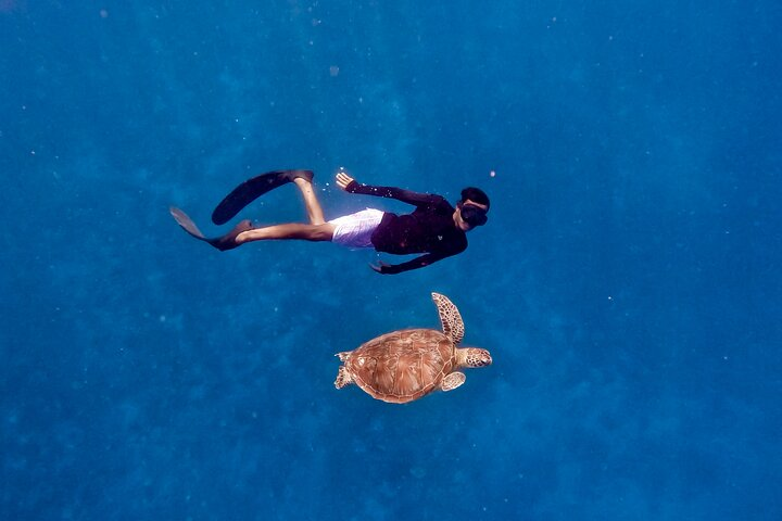 Snorkeling with turtle and statue in Gilis - Photo 1 of 9