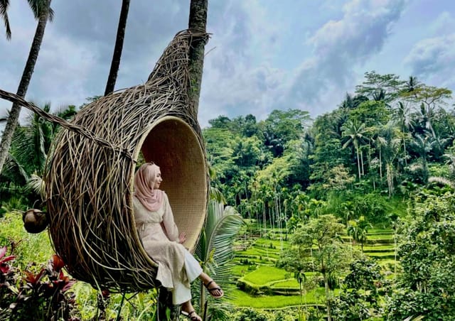 Ubud: Tegalalang Rice Terrace Guided Photos Tour & Swing Ticket - Photo 1 of 6