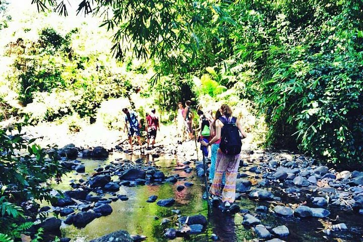 Tetebatu panorama walk - Photo 1 of 6