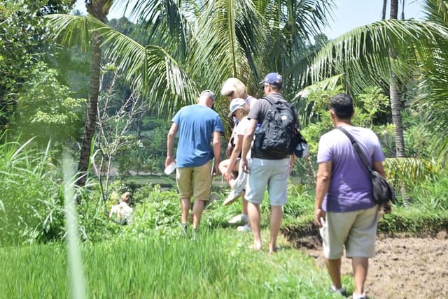 Tetebatu Walking Tour - Rice Terraces, Waterfall & Monkey Forest - Photo 1 of 21