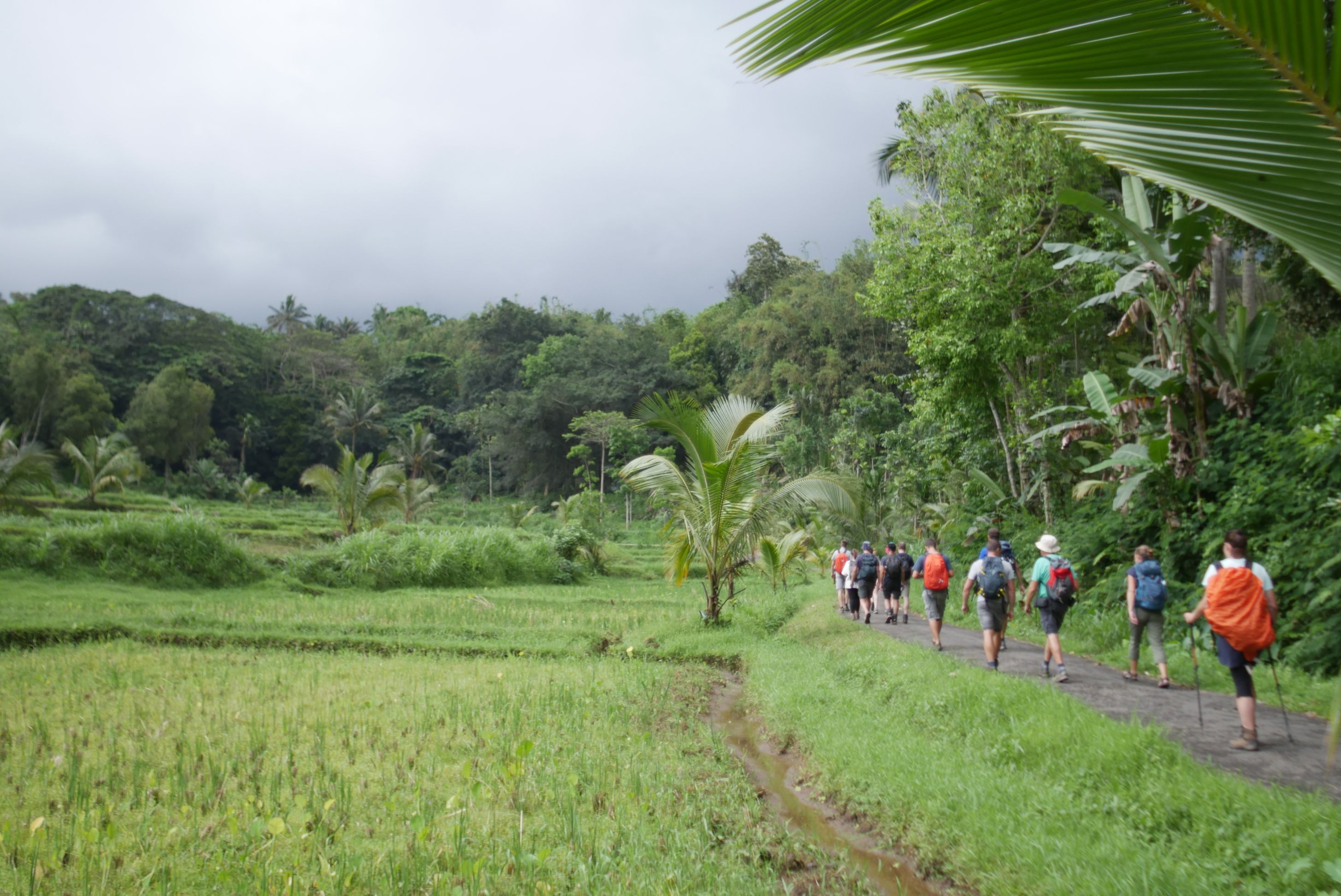 Tetebatu Walking Tour: Rice Terraces, Waterfall, Forest - Photo 1 of 10