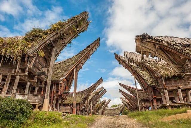 pacébo tours Ltd. | Tour Package Toraja