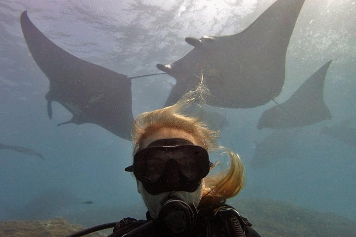 Try Dive with Manta Rays in Bali - Photo 1 of 3