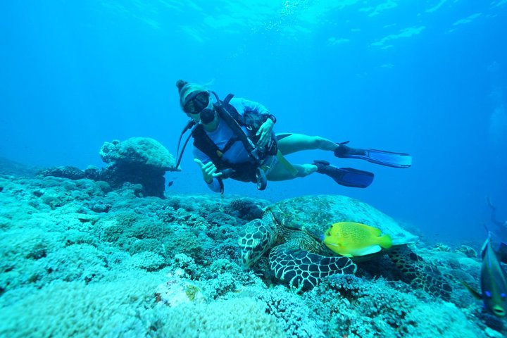 Try Diving in Nusa Lembongan - Penida. For beginners (with 2 ocean dives) - Photo 1 of 7