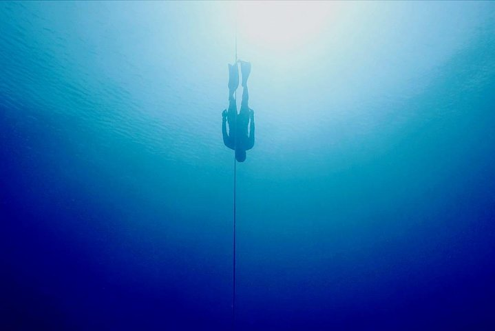 Try Freediving in Pemuteran, Aida 1 with theory, pool and ocean session 1 day - Photo 1 of 6