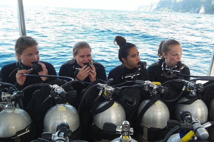 Try Scuba Diving for Beginners with manta rays - Photo 1 of 13