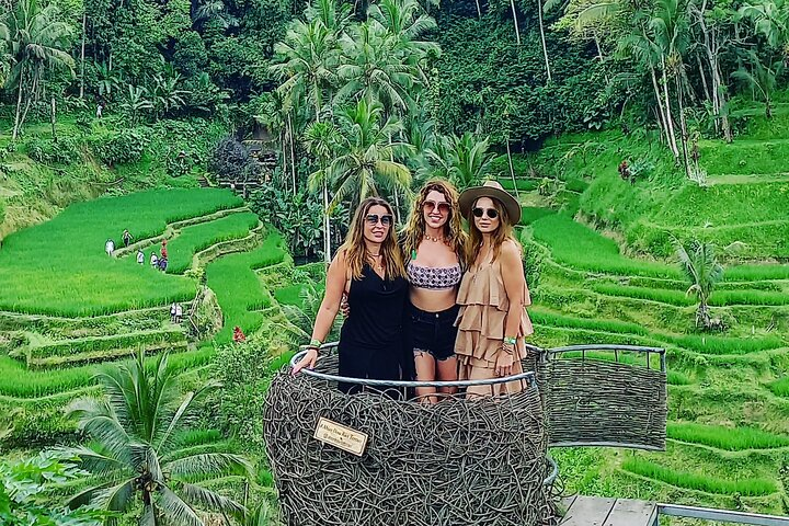 Ubud rice terrace.