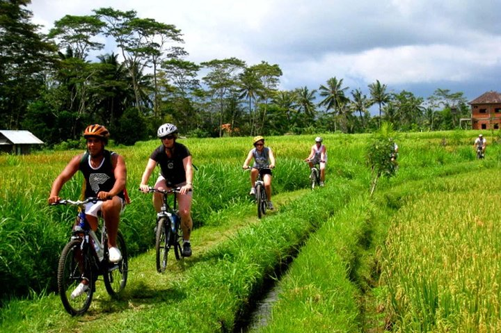 Ubud Cycling In bali all Inclusive - Photo 1 of 12