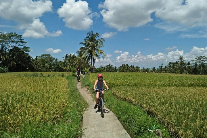 Beautiful scenery while cycling