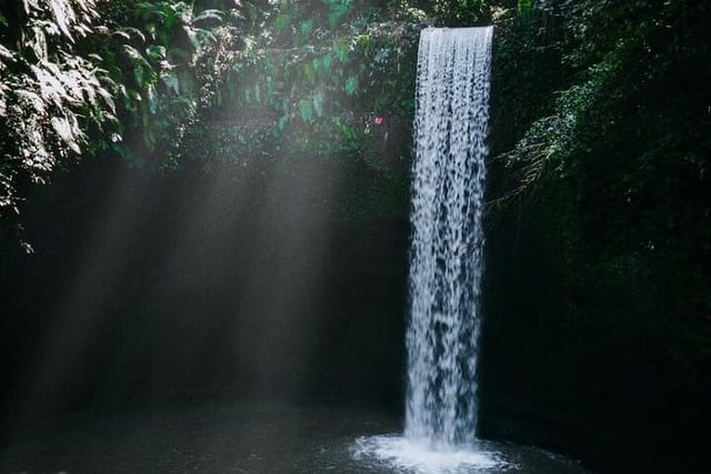 ubud-hidden-waterfalls-and-rice-terrace-tours_1