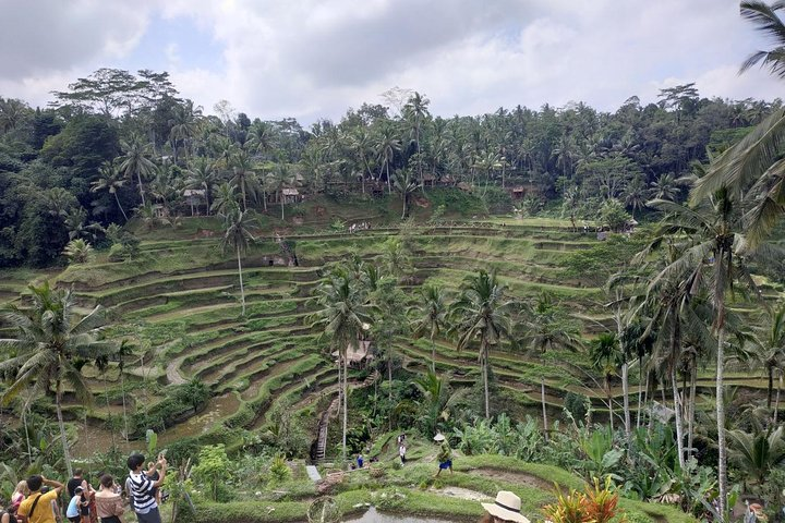 Ubud, Kintamani Volcanos Bali tour - Photo 1 of 6