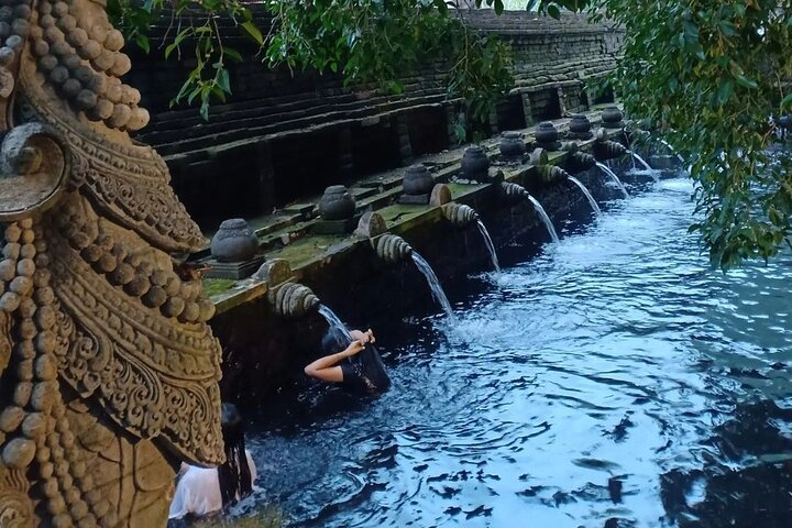 Ubud Monkey Forest, Holy Water Temple & Hot Springs Tours - Photo 1 of 15