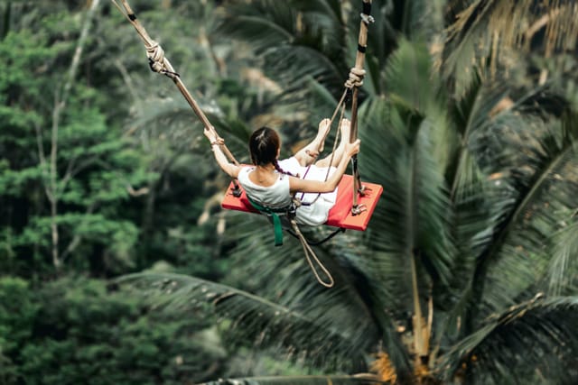 Ubud Monkey Forest Sanctuary Tour and Jungle Swing - Photo 1 of 10