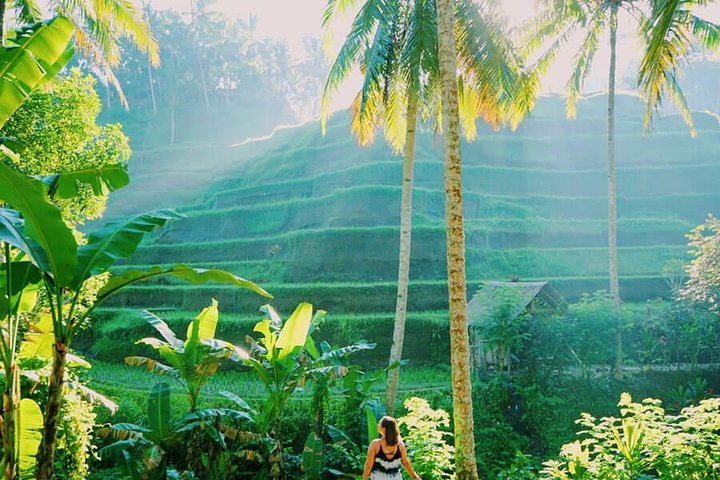 Ubud Tours Package - Photo 1 of 7