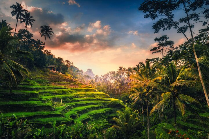 Ubud waterfall, rice terraces, and swing explore - Photo 1 of 11