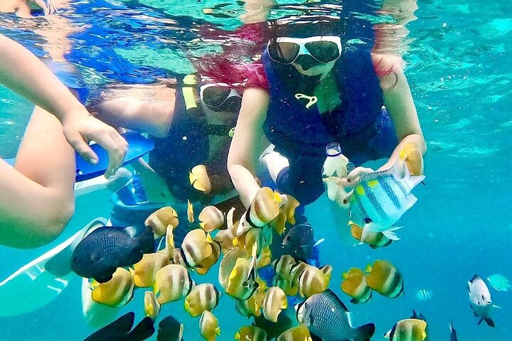 Ultimate Bali Snorkeling Tour  - Photo 1 of 9