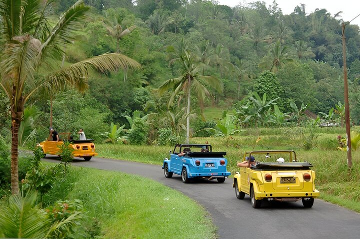 VW Safari Bali Tour