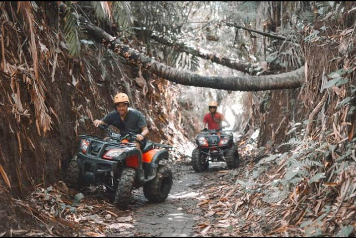 Wild Jungle Expedition: Elephant Back Safari & Quad ATV Adventure