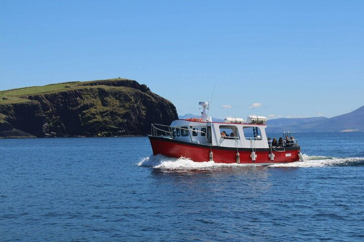 2-hour Guided Mini Eco Tour at Dingle, Ireland - Photo 1 of 5