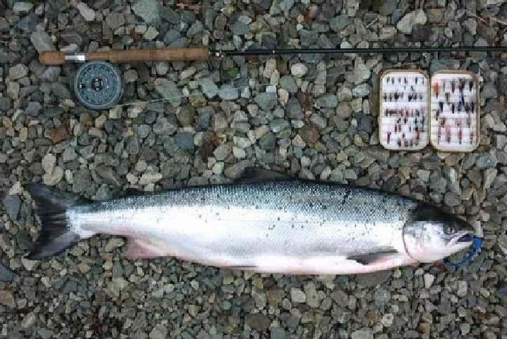 Atlantic Salmon & Sea Trout fishing.Connemara.English/French speaking Ghillie - Photo 1 of 6