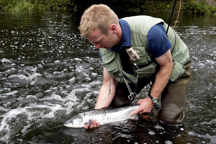 Atlantic Salmon & Sea Trout fishing.Erriff River, Mayo. French speaking Ghillie. - Photo 1 of 6