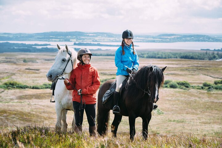 Beach & countryside horse riding outside Westport. Guided. 1 hour - Photo 1 of 6