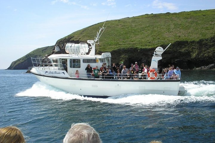 Blasket Eco Tour. - Photo 1 of 10