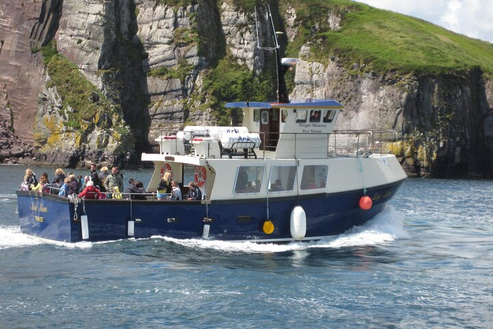 Boat Tour of Dingle Peninsula - Photo 1 of 6