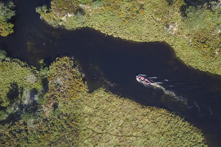 Boat travelling through the Upper Lakes of Killarney